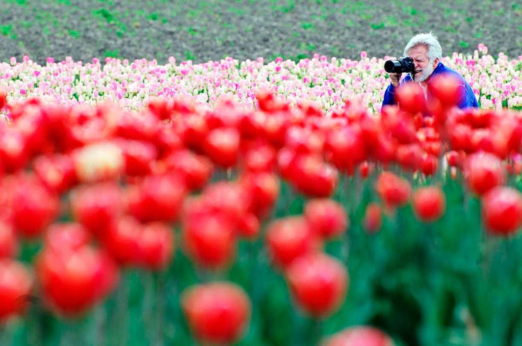 Photo courtesy of Dan Lewis                                Dan Lewis, a KOMO news anchor for 27 years, has found a new passion in photography.