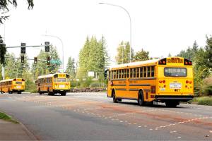 Issaquah school bus driver arrested for child rape