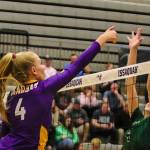 Issaquah volleyball nets another victory