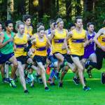 Issaquah cross country coming together as a team