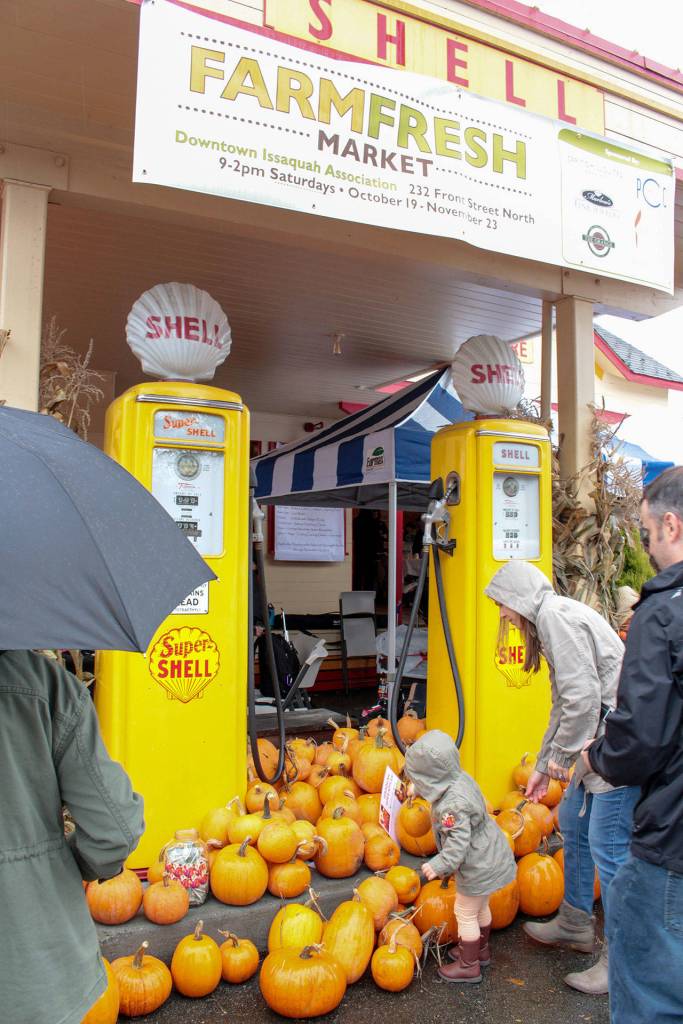 The rain did not stop the fall fun from happening at the Issaquah Goes Apples fair at the Historic Shell Station on Oct. 19. Natalie DeFord/staff photo