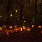 The Islands third Pumpkin Walk is set for Oct. 27 at Luther Burbank Park. Photo courtesy of Amanda Colburn