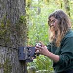 Conservation programs hold presentation in Issaquah on coexisting with local wildlife