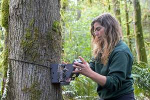 Conservation programs hold presentation in Issaquah on coexisting with local wildlife