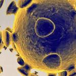 The state coronavirus hotline is dropping calls