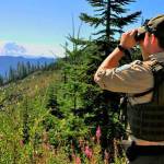 Image courtesy Department of Fish and Wildlife.