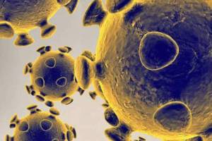 How is COVID-19 affecting Issaquah?