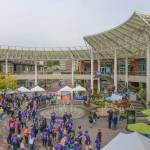 File photo from September 2016, when hundreds participated in the Alzheimers Associations Walk to End Alzheimers event at Redmond Town Center.
