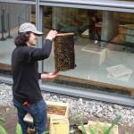 In the background is a Seattle skyscraper, people often walked by to watch Pedro Miola as he worked. (Photo by Cameron Sheppard)