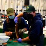 Washington Department of Fish and Wildlife workers extract eggs from a female kokanee at the Issaquah Salmon Hatchery. Photo Conor Wilson/Valley Record