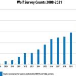 Growth in Washington wolf populations from 2008 to 2021. Courtesy of WDFW