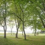 The Friends of Lake Sammamish State Park have worked to protect and improve the park for local and tourist recreation. Photo courtesy of the Friends of Lake Sammamish State Park