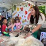 Parkadilly. Courtesy of Lake Sammamish State Park.