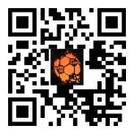 Courtesy of the Issaquah High School girls soccer program