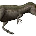 The only dinosaur discovered in Washington state was discovered by paleontologists who found a portion of a left femur of a therapod dinosaur at Sucia Island state park in the San Juan Islands. While scientists are unsure exactly what type of therapod the fossil belongs to, evidence suggests it is a Daspletosaurus. The dinosaur has been nicknamed Suciasaurus rex. This image shows a Daspletosaurus torosus restoration. (Wikipedia)