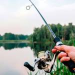 Stock photo, Metro Creative Graphics