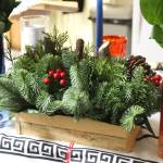 Evergreen branches, holly and cranberries have been symbols of the Winter Solstice across cultures for centuries. Photo by Bailey Jo Josie.