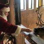 Santa at Cougar Mountain Zoo (Photo courtesy Cougar Mountain Zoo)
