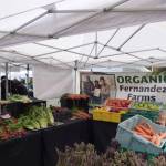 The farmers market offered a few stands with fresh veggies and fruits. Farmers market coordinator Kelli Diann Billips said as the farmers market moves into summer, more vendors will arrive, and the selection of vegetables and fruits will grow. (Cameron Sires/ Sound Publishing)