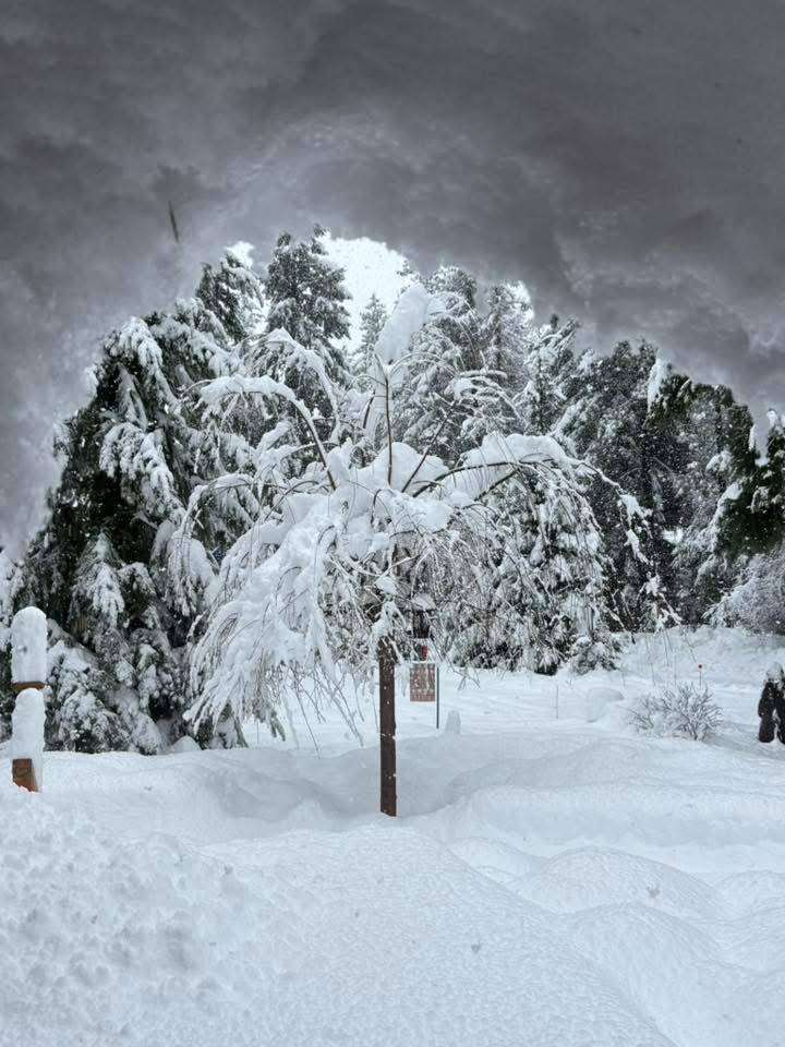 Driftwood Acres in Ronald, WA. Photo courtesy of Peggy Lynch