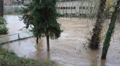 The Cedar River at the Renton Library on Thursday morning, Dec. 11, 2025. Photo by Bailey Jo Josie/Sound Publishing.